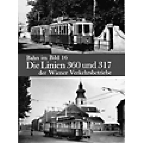BIB-016 Die Linien 360 und 317 der WVB